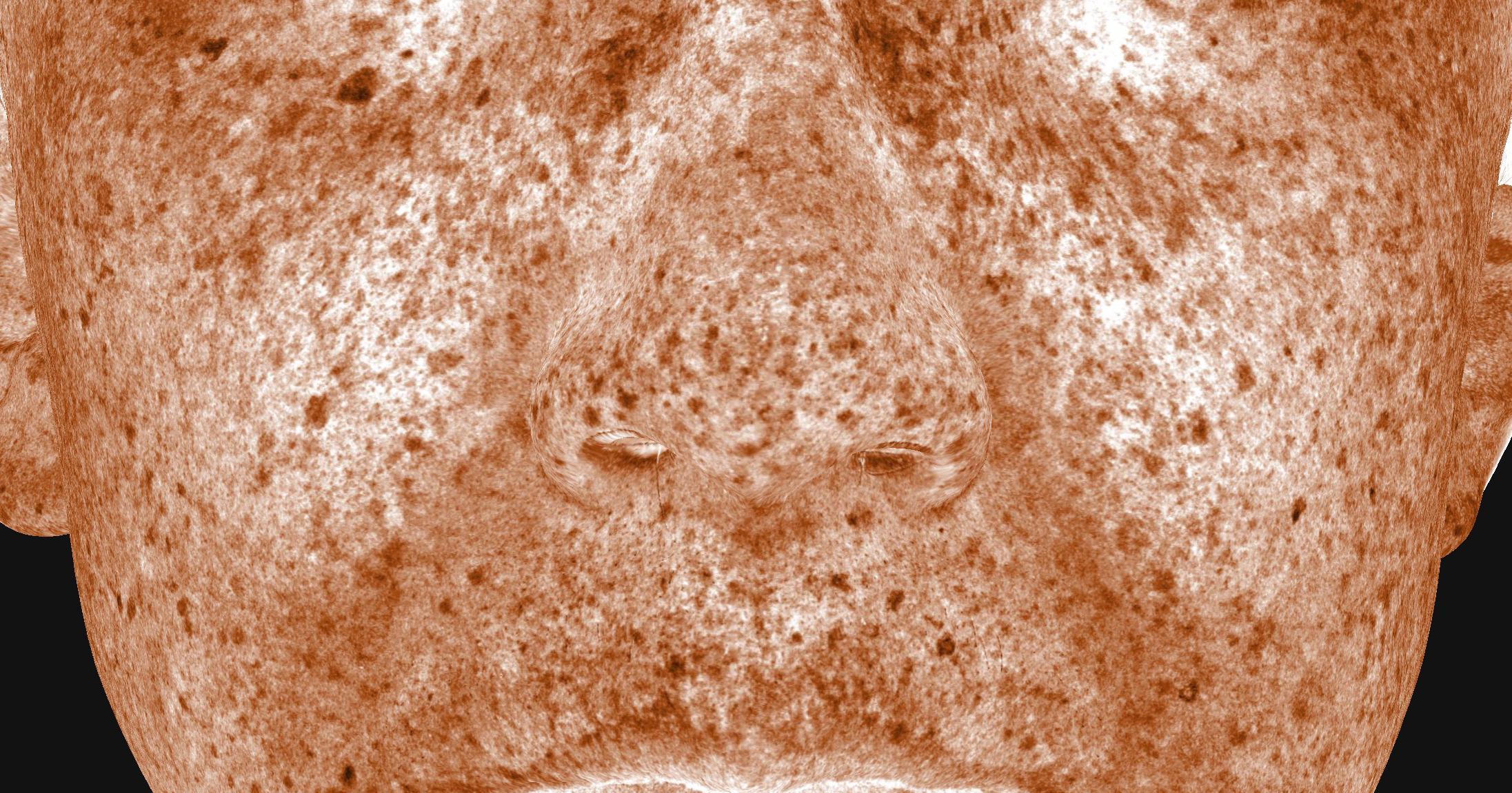 Skin tone & brightness: Enhanced brown
