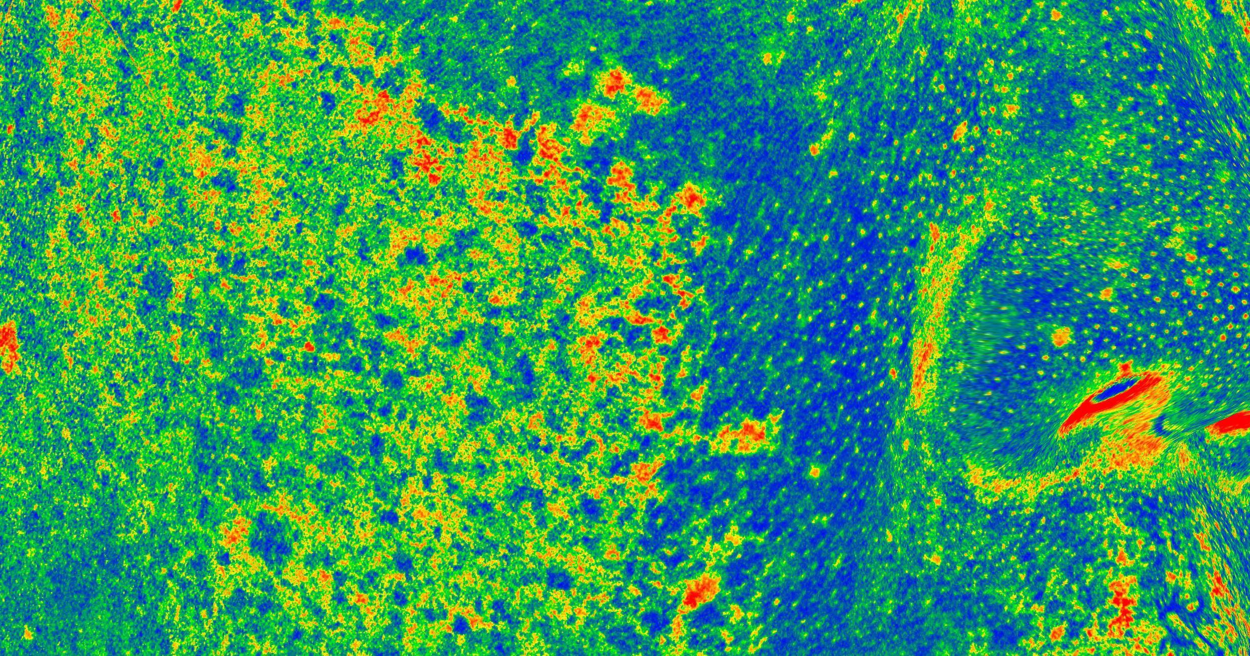 Skin tone & brightness: Brown heatmap